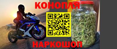 прущие крисы Дубна