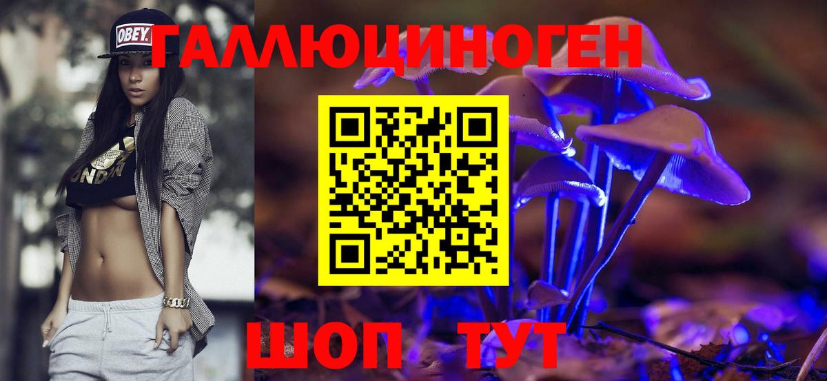 Псилоцибиновые грибы Psilocybine cubensis  Вход с VPN  Псилоцибиновые грибы мухоморы  Дальнегорск 